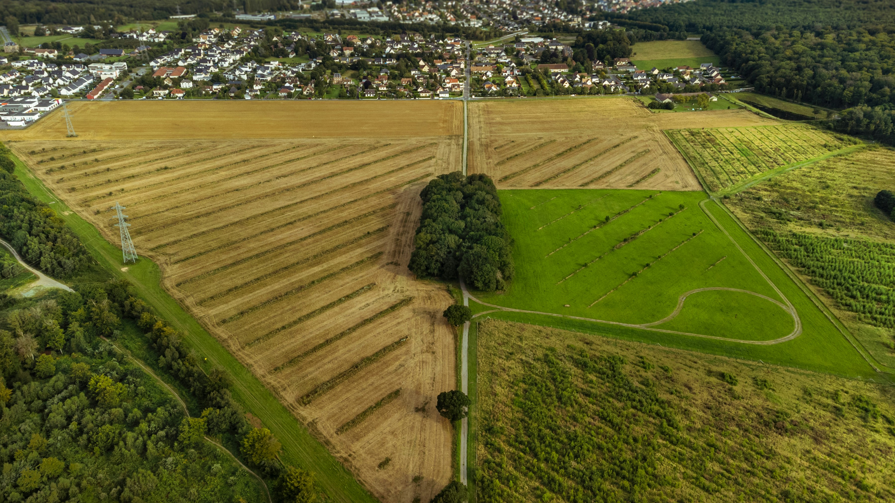 Drone in Agriculture