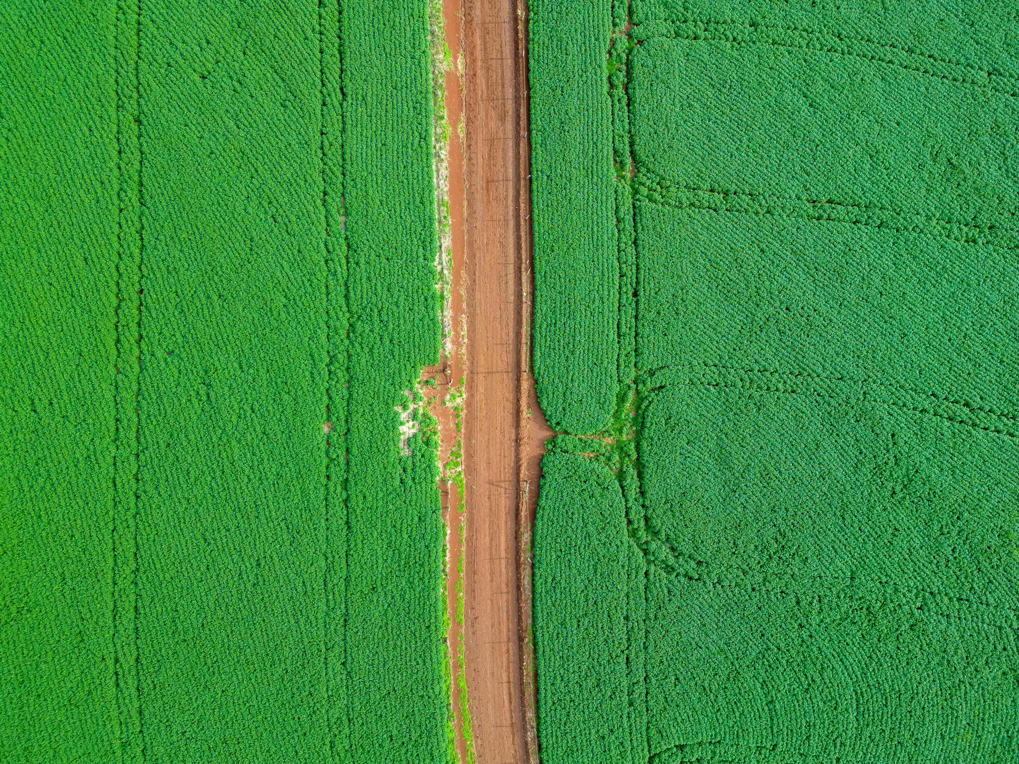 Aerial Mapping & Survey Practical